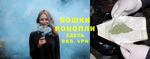 дурь Арсеньев