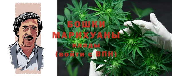 дурь Арсеньев